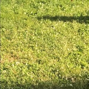 Meet your Posher, Darwin